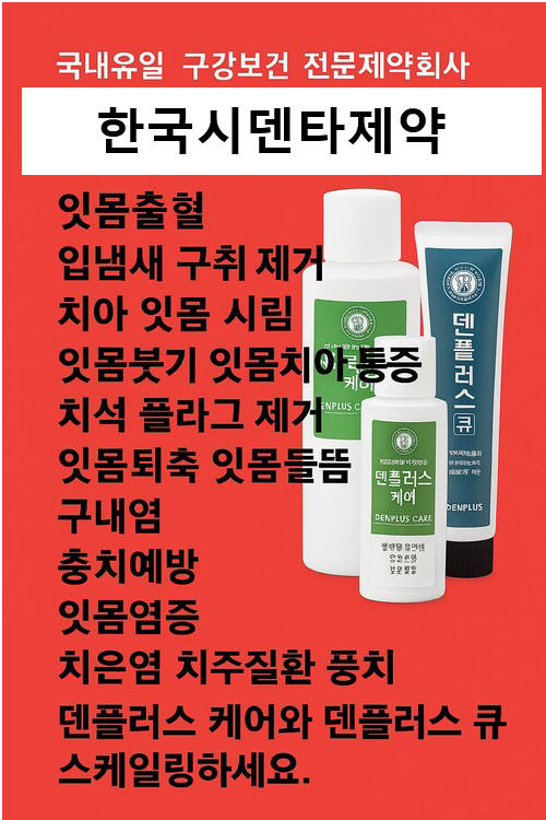 치주조직 치아의 구성