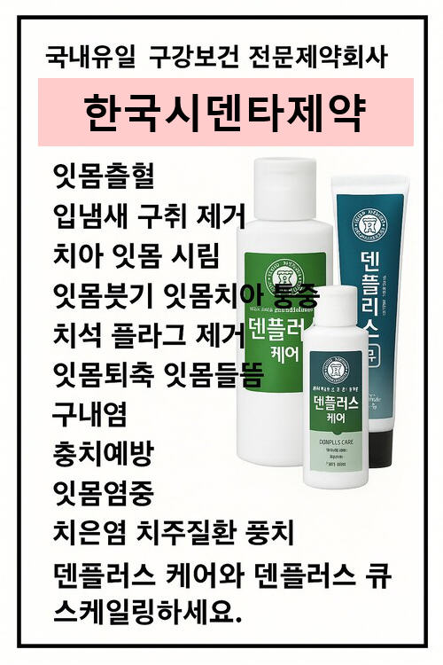 덴플러스로 스케일링 하세요