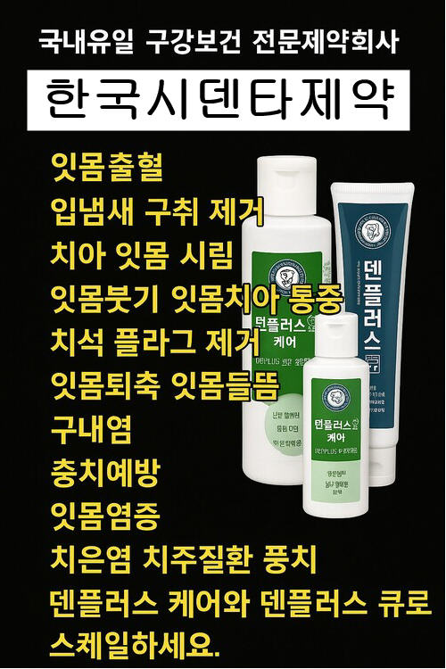 덴플러스로 스케일링 하세요